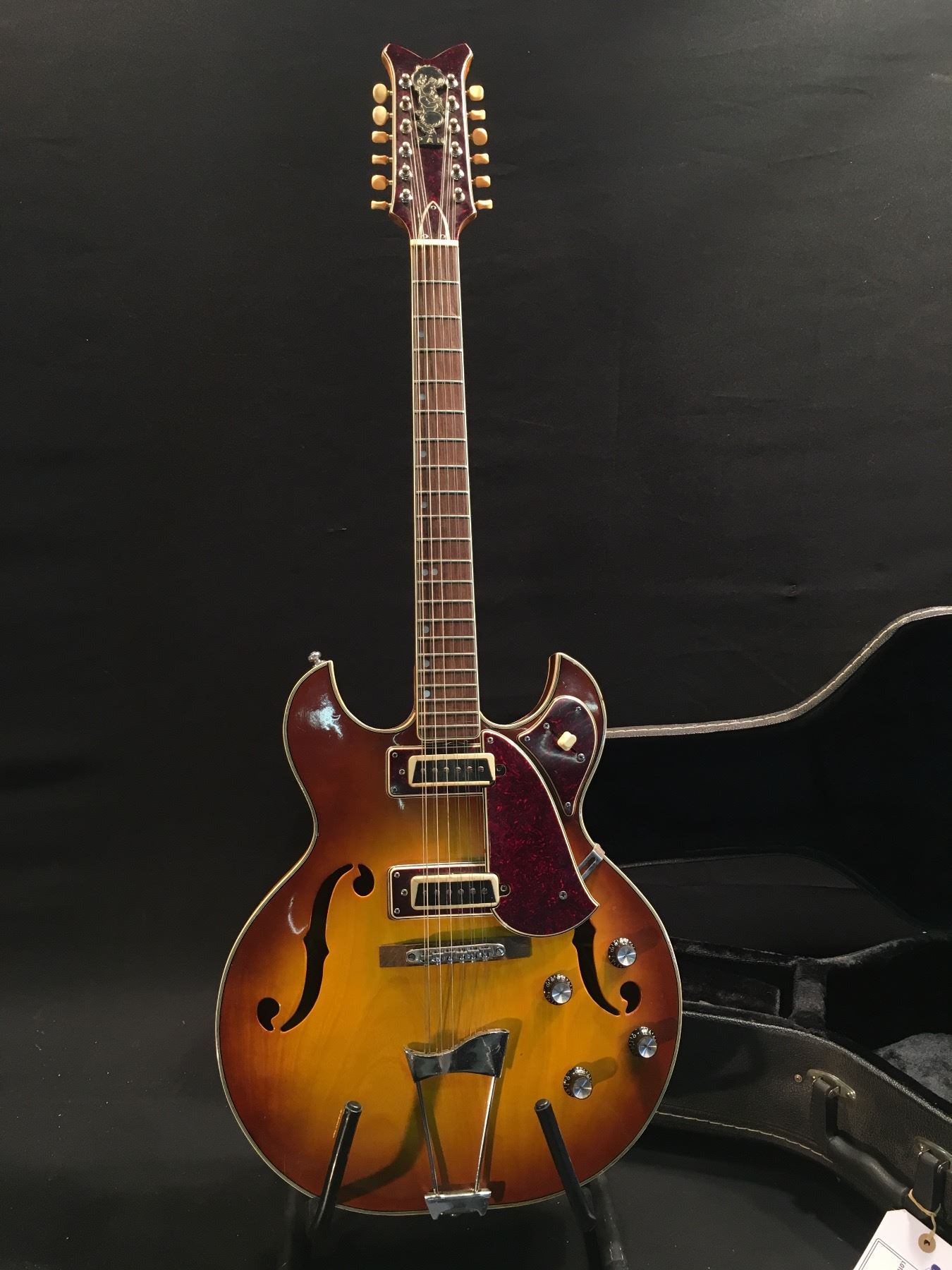 You wish vintage hollow body electric What vintage hollow body electric